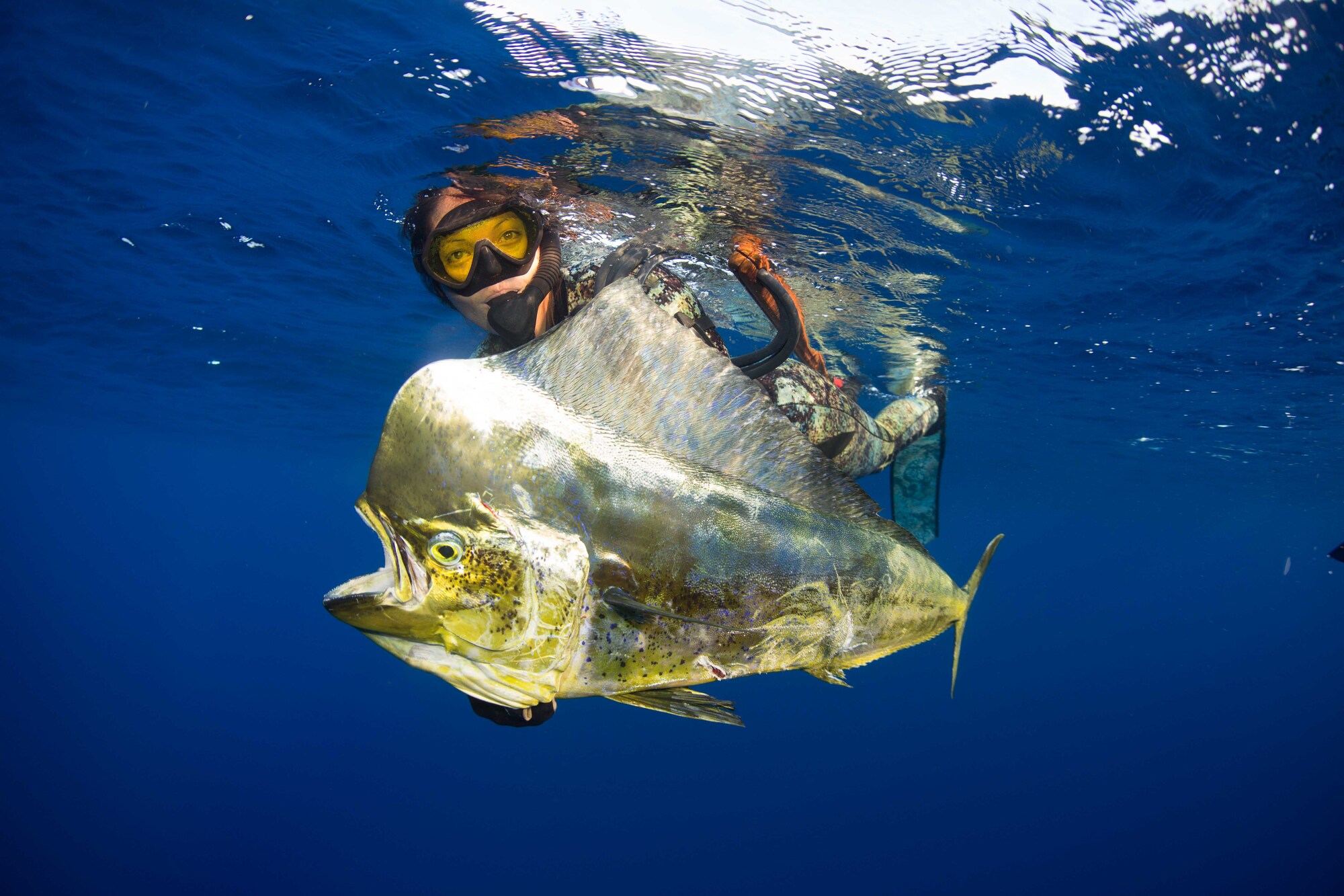 Home - Extreme Blue Water Spear Fishing