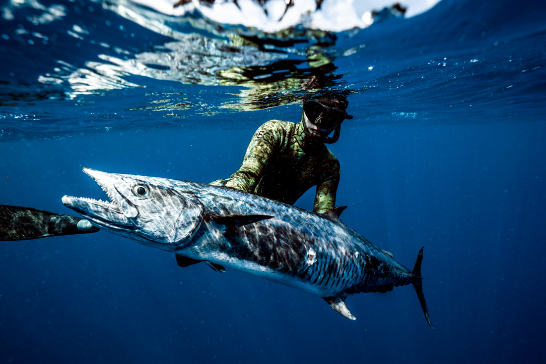 Madagascar - Extreme Blue Water Spear Fishing
